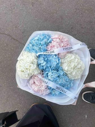 Цветы букет получила сегодня