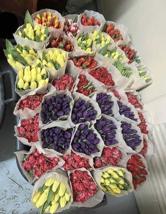 Продам тюльпаны оптом и в розницу