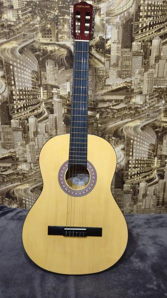 Акустическая гитара (Cortland MC-101)