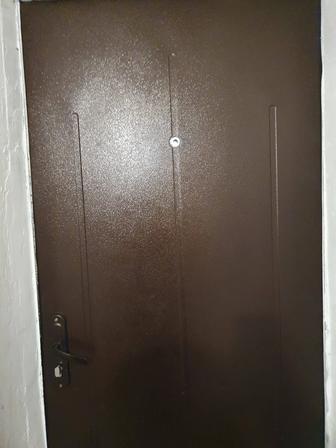 Дверь металлическая