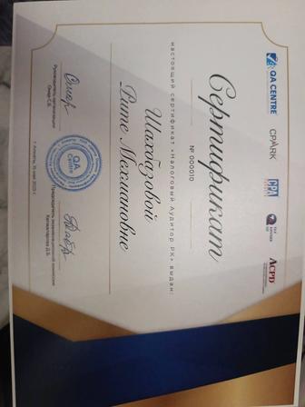 Провожу анализ правильности ведения бухгалтерского и налогового учета