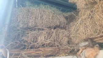 Продам сено разнотравье в тюках