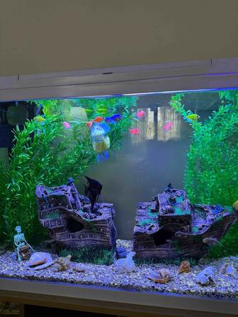 Продается аквариум