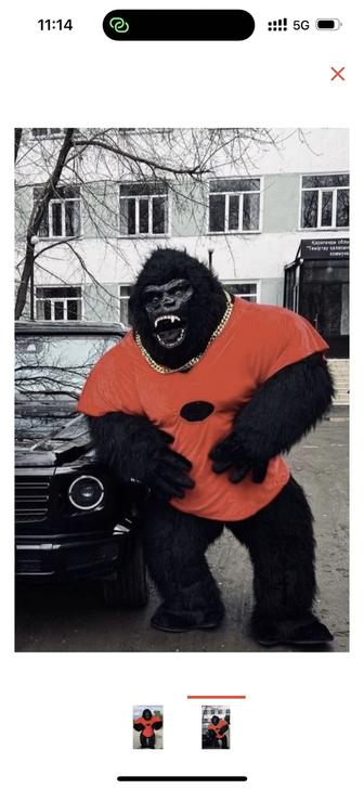 Павлодар аниматоры лимузины