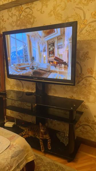 Телевизор с подставкой