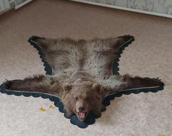 Шкура медведя