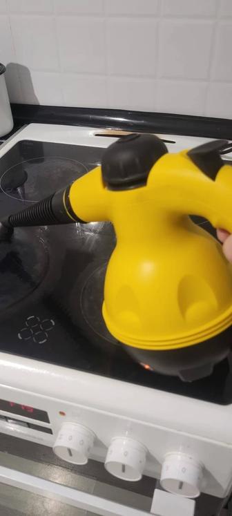 Аренда парогенератор