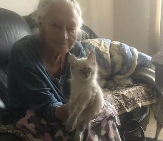 Отдам котов в хорошим руки