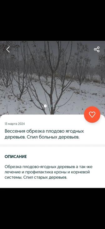 Сбивка сосулёк, чистка вытяжки, кронирование деревьев, формовка,подрезка