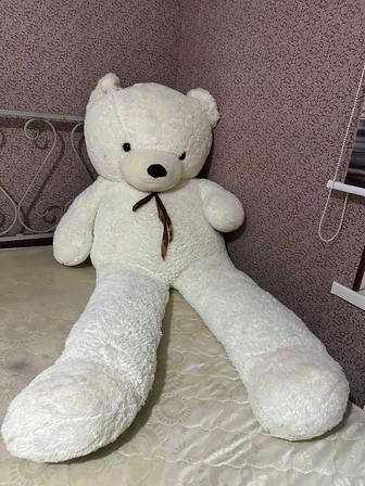 Мишка ,Аю