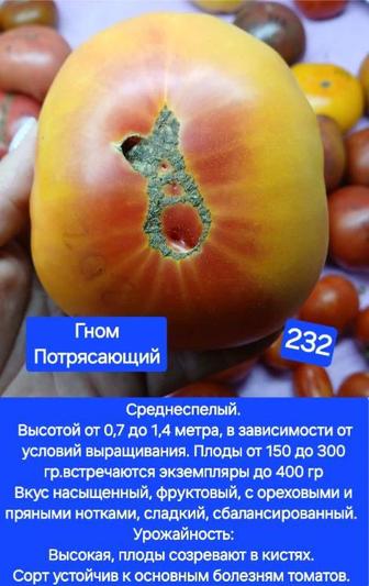 Продажа коллекционных семян томатов и т.д