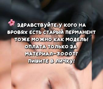 Перманент бровей пудровый