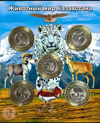 Подарочный набор монет, животный мир Казахстана
