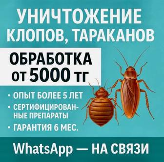 Дезинфекция