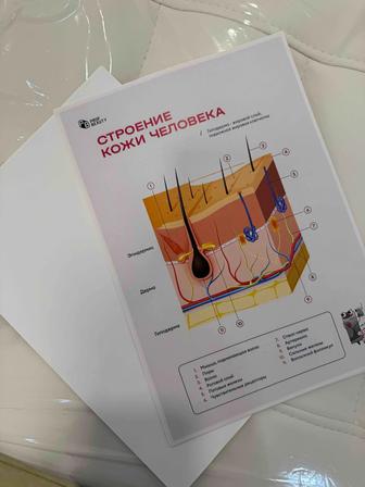 Однодневное обучение мастера лазерной эпиляции