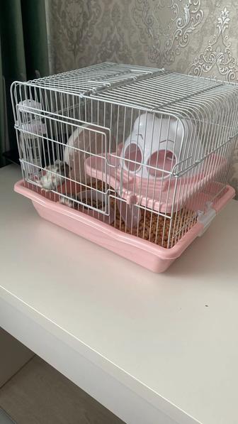 Продам хомяков