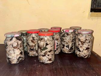 Маринованные грибы