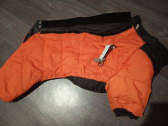 Комбинезон демисезонный для собак