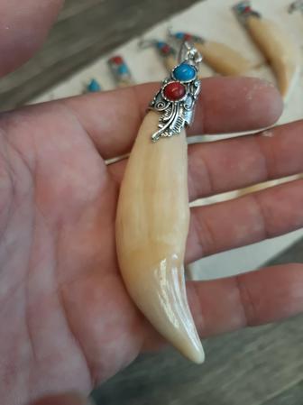 Амулет кулон клык медведя натуральный.