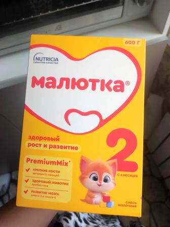 Смесь Малютка 2