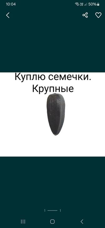 Куплю семечки подсолнуха крупные.