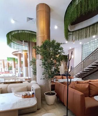 Озеленение и уход за живыми растениями