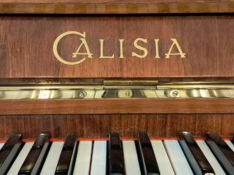 Пианино Calisia [ польша]