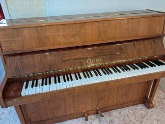 Пианино Calisia [ польша]