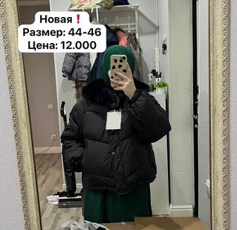 Новые женские куртки