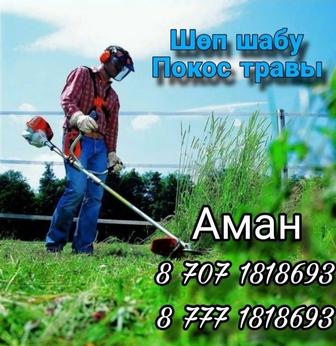 Покос травы