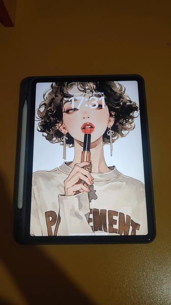 iPad pro 11