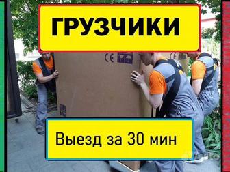 Грузчики недорого