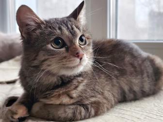 Бруня 8 месяцев