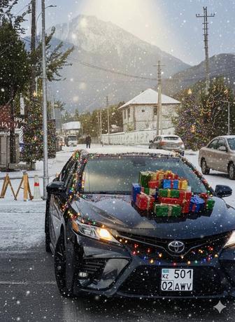 Водитель на день на личном авто