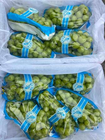 Фрукты свежие фрукты мандарины яблоки мандарины клубника