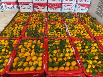 Фрукты свежие фрукты мандарины яблоки мандарины клубника