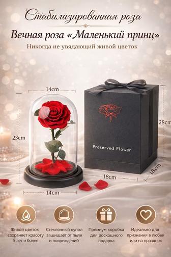 Подарок к 8 марта, роза в колбе стабилизированные цветы