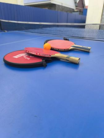 Теннисный стол