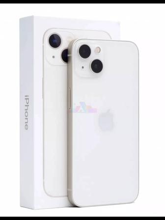 Apple 13
