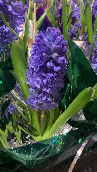 Цветочки в горшочках Гиацинты