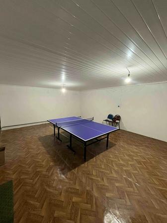 настольный теннис