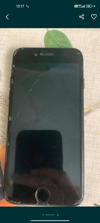 Apple 7