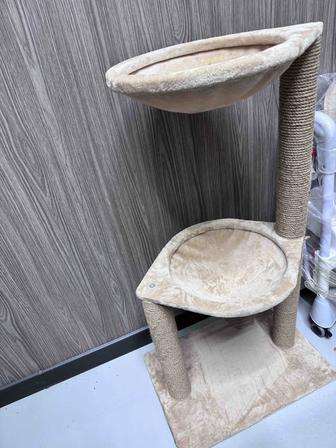 Когтеточки