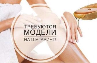 Требуются модели на шугаринг!