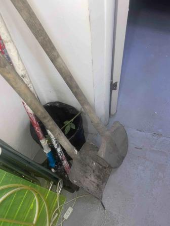 Отдаем лапоты