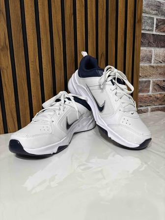 Кроссовки Nike Defyallday