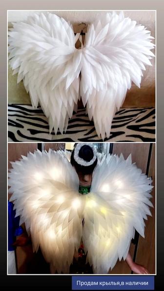 Крылья на праздник