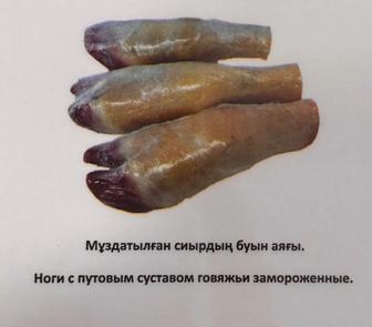 Ноги с путовым суставом