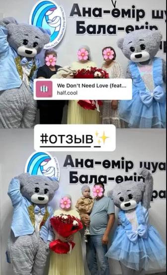 Аренда прокат Teddy, мишки, ростовые куклы