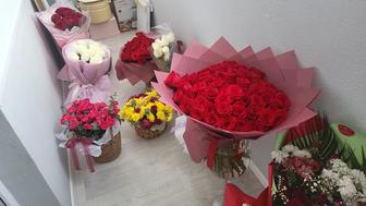 Продаю БУ цветы
